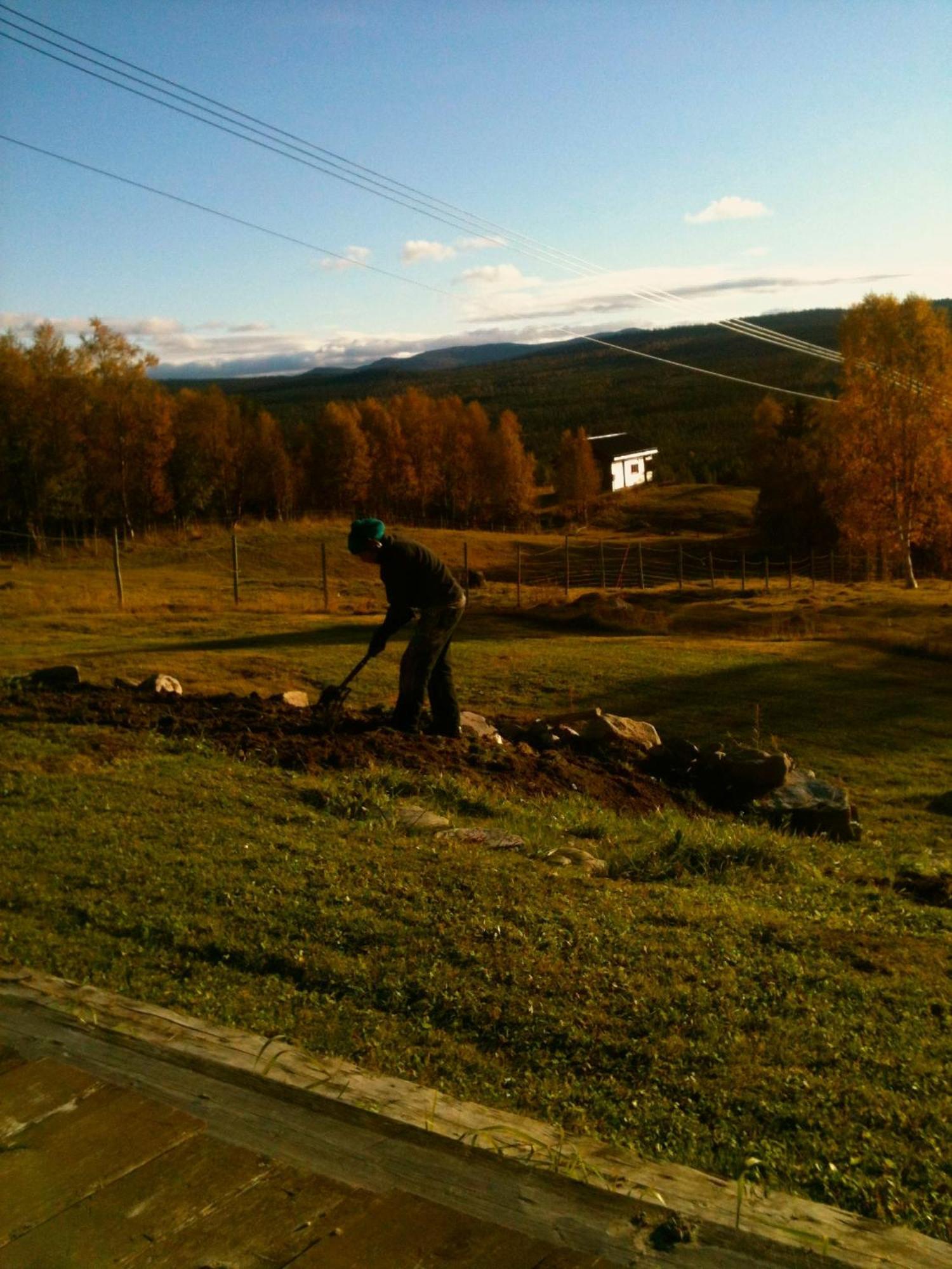 Skoogs Logi - Rum Funäsdalen Extérieur photo